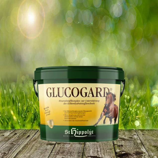 GlucogardK6i9Szr1ntxvY St. Hippolyt Glucogard - Vitalstoffkomplex zur natürlichen Regulierung des Zucker- und Insulinstoffwechsels