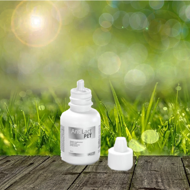 AntiLactPet 50 ml - bei Scheinträchtigkeit AntiLactPet 50 ml - bei Scheinträchtigkeit
