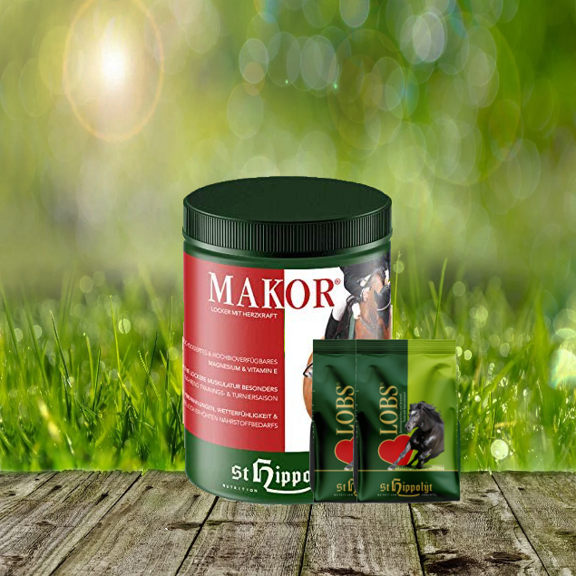 Makor-2-x-1-Lobs St. Hippolyt Makor 1 kg + St. Hippolyt Lobs Belohnungswürfel 2 x 1 kg geschenkt