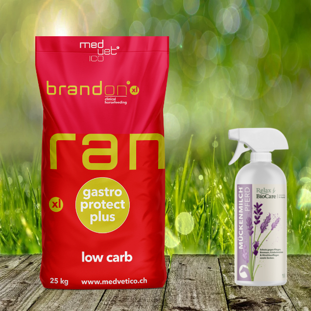 Brandon XL 25 kg + Relax Biocare Mückenmilch 500 ml Brandon XL 25 kg + Relax Biocare Mückenmilch 500 ml