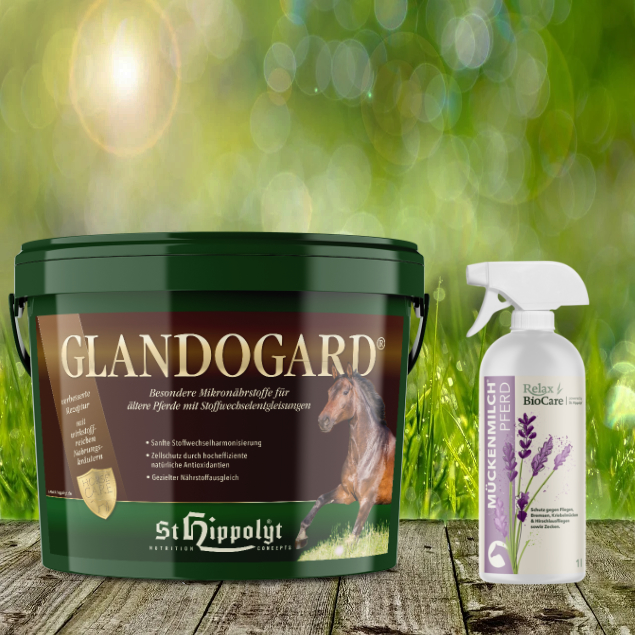St. Hippolyt Glandogard 3,75 kg + Relax Biocare Mückenmilch 500 ml St. Hippolyt Glandogard 3,75 kg + Relax Biocare Mückenmilch 500 ml