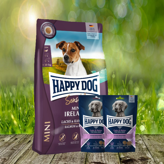 Mini-Ireland-2-x-Calm-Relax-Snacks Happy Dog Sensible Mini Ireland 4 kg + Happy Dog Care Snack Relax & Calm 2 x 100 g *geschenkt*