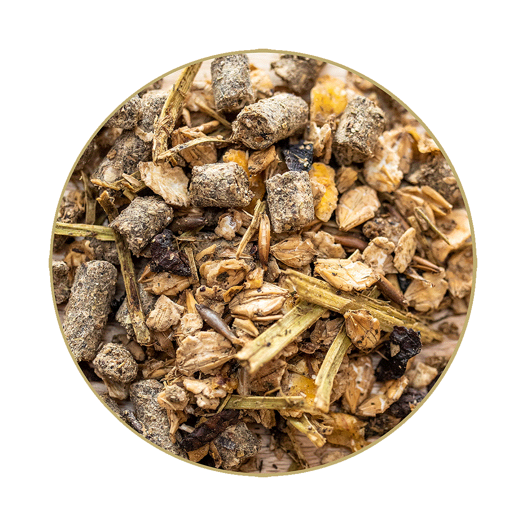St. Hippolyt Hesta Mix Müsli 700 kg Big Bag