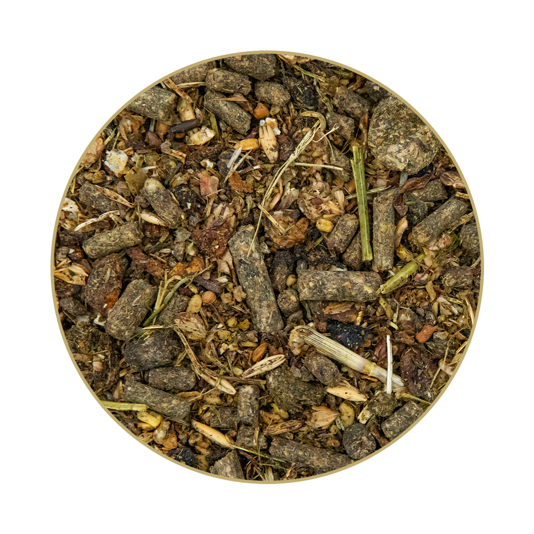 St. Hippolyt Struktur Energetikum 20 kg + St. Hippolyt Lobs Belohnungswürfel 2 x 1 kg geschenkt