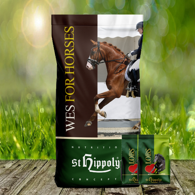 WES-2-x-1-Lobs1vRuVxNZL4JGv St. Hippolyt WES for Horses - Basic Crunch 25 kg + St. Hippolyt Lobs Belohnungswürfel 2 x 1 kg gesch