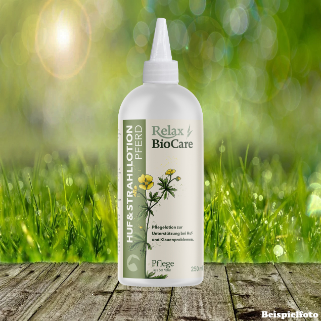 St. Hippolyt Huf & Strahllotion Pferd 250 ml - Pflegelotion zur Unterstützung bei Huf- und Klauenproblemen St. Hippolyt Huf & Strahllotion Pferd 250 ml - Pflegelotion zur Unterstützung bei Huf- und Klauenproblemen