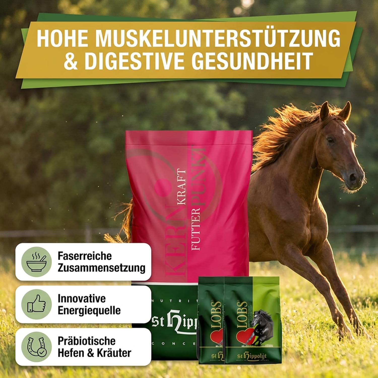 St. Hippolyt Kernkraft 15 kg + St. Hippolyt Lobs Belohnungswürfel 2 x 1 kg geschenkt