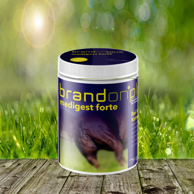 Medigest-Forte Brandon Plus Medigest forte 1 kg - Zur Förderung der Regeneration des Darmepithels