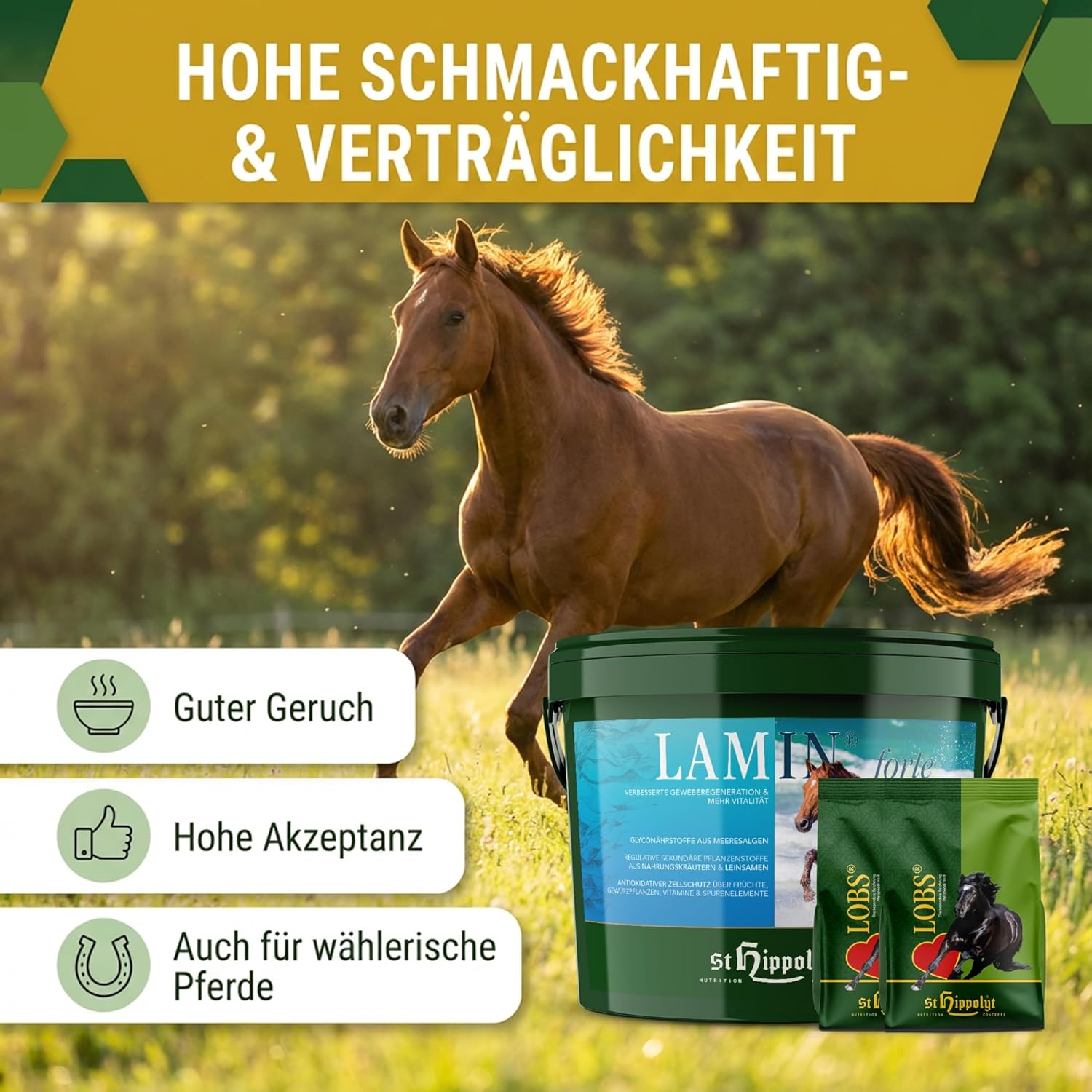 St. Hippolyt Lamin Forte 3 kg + St. Hippolyt Lobs Belohnungswürfel 2 x 1 kg geschenkt