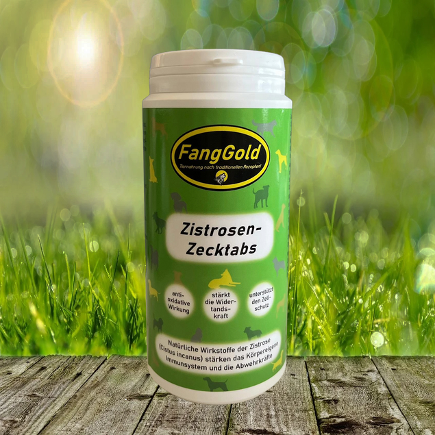 FangGold Dog Zistrosen-Zecken Tabs 250g - Natürliche Wirkstoffe der Zistrose stärken das Körpereigene Immunsystem FangGold Dog Zistrosen-Zecken Tabs 250g - Natürliche Wirkstoffe der Zistrose stärken das Körpereigene Immunsystem