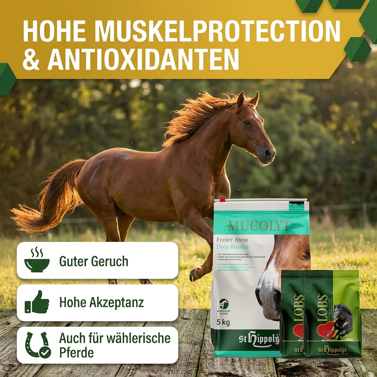 St. Hippolyt Mucolyt 5 kg Nachfüllpack + St. Hippolyt Lobs Belohnungswürfel 2 x 1 kg geschenkt