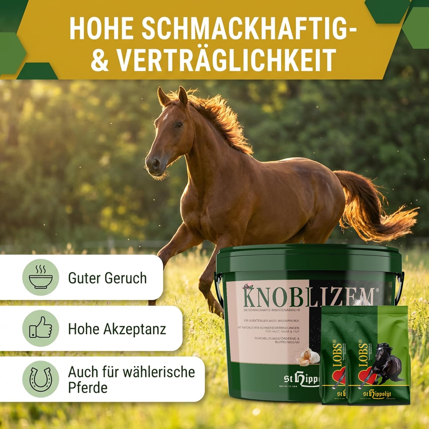 St. Hippolyt Knoblizem Mineral 10 kg + St. Hippolyt Lobs Belohnungswürfel 2 x 1 kg geschenkt