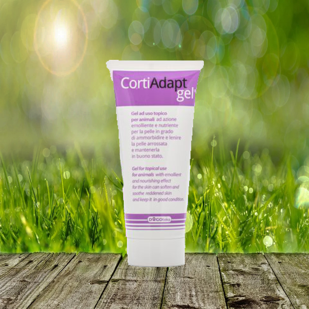CortiAdapt Gel 100 ml - mit lindernder Wirkung für die Haut