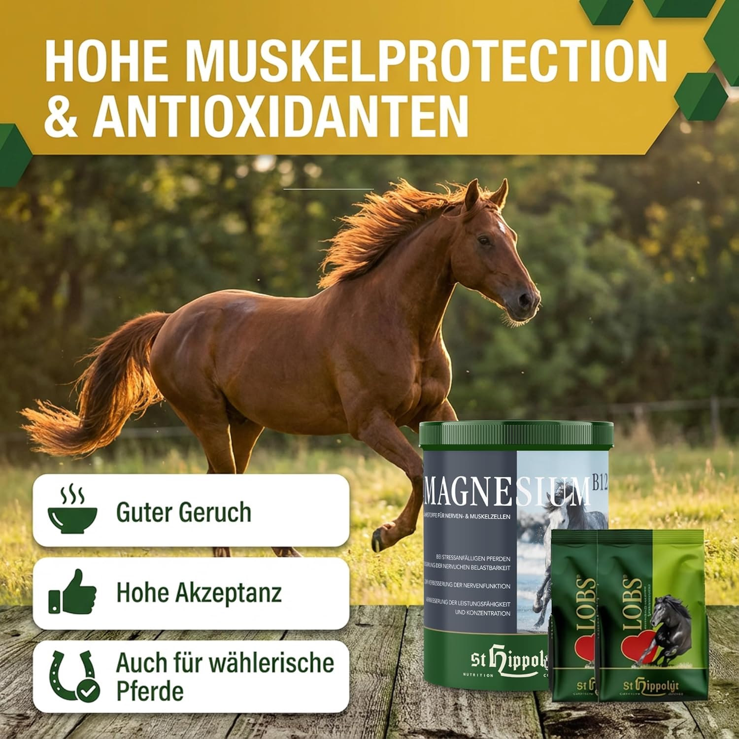 St. Hippolyt Magnesium B12 - 1 kg + St. Hippolyt Lobs Belohnungswürfel 2 x 1 kg geschenkt