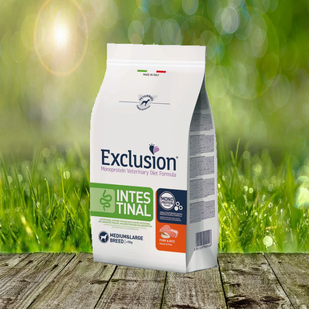 Intestinal Schwein & Reis medium/large breed 12 kg