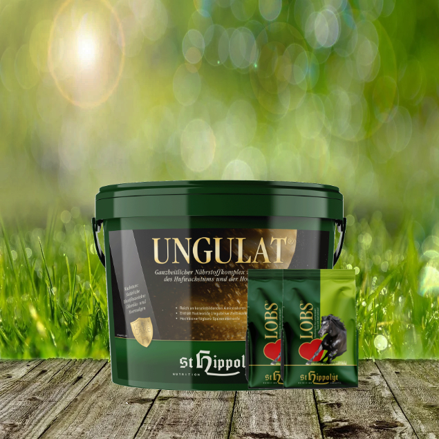 Ungulat-2-x-1-Lobs St. Hippolyt Ungulat 10 kg + St. Hippolyt Lobs Belohnungswürfel 2 x 1 kg geschenkt
