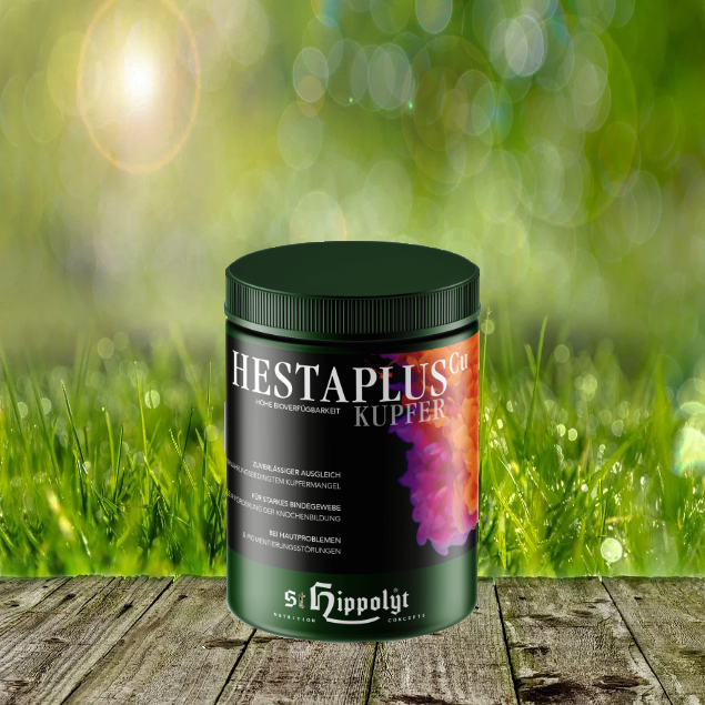 Hesta-plus-Kupfer-mit-HintergrundSAdAvZzrBypLj St. Hippolyt Hesta Plus Kupfer 1 kg