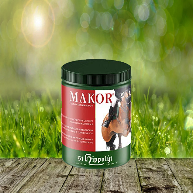 Makor St. Hippolyt Makor - locker mit Herzkraft