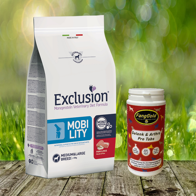 Notfallpaket für Hunde bei ARTHROSE UND GELENKBESCHWERDEN