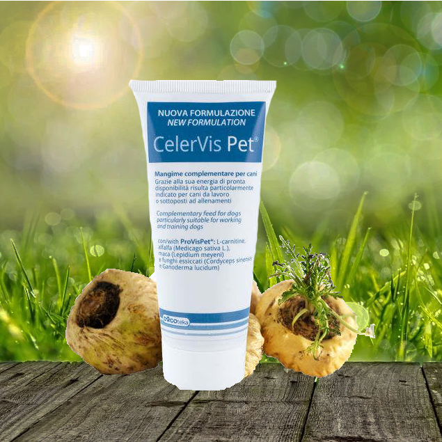 CelerVis NEW Energiepaste 100 g - Energieunterstützung bei Leistungshunden - geschwächte Hunde - bei Rekonvaleszenz CelerVis NEW Energiepaste 100 g - Energieunterstützung bei Leistungshunden - geschwächte Hunde - bei Rekonvaleszenz