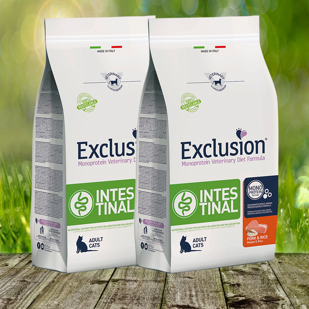 Exclusion Intestinal Cat Schwein & Reis 2 x 1,5 kg