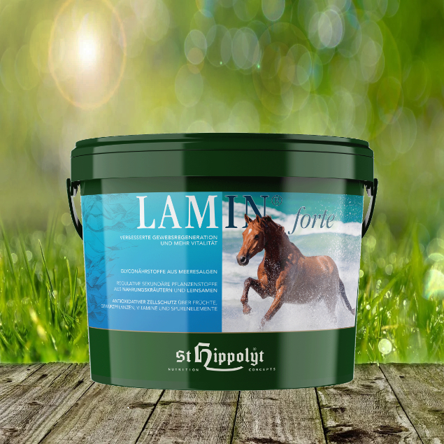 Lamin-forte-3-kg0nIPwWxjePcLwGPkYbqoWbDfpw St. Hippolyt Lamin Forte - Verbesserte Geweberegeneration und mehr Vitalität