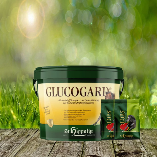 Glucogard-2-x-1-Lobs St. Hippolyt Glucogard 3 kg + St. Hippolyt Lobs Belohnungswürfel 2 x 1 kg geschenkt