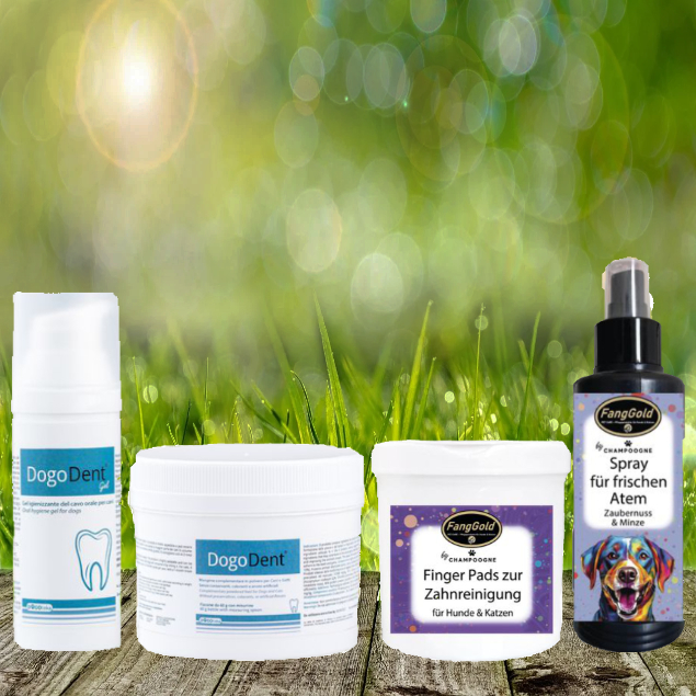 DogoDent / Fanggold Zahnpflege Set für Ihren Hund DogoDent / Fanggold Zahnpflege Set für Ihren Hund