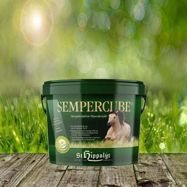 semper-cube-eimer St. Hippolyt Semper Cube - Der praktische, getreide- & glutenfreie Mineralwürfel für Weide und Stall