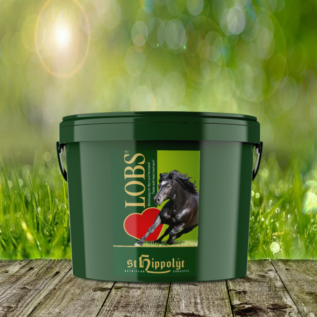St. Hippolyt LOBS Belohnungswürfel 10 kg - die besondere Belohnung