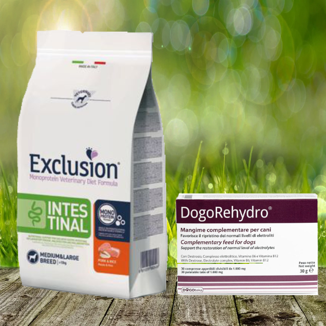 Notfallpaket für Hunde bei ERBRECHEN Notfallpaket für Hunde bei ERBRECHEN