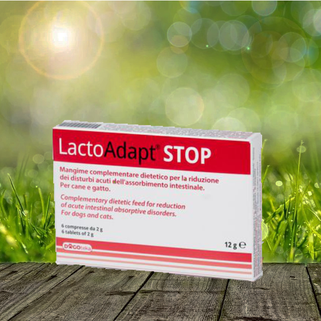 LactoAdapt Stop 6 Stück - bei akutem Durchfall LactoAdapt Stop 6 Stück - bei akutem Durchfall