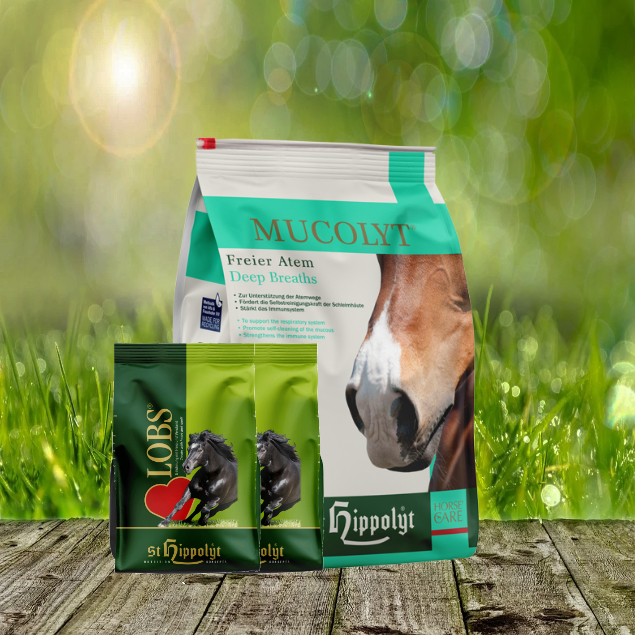 Mucolyt-5-kg-neu-2-x-1-Lobs St. Hippolyt Mucolyt 5 kg Nachfüllpack + St. Hippolyt Lobs Belohnungswürfel 2 x 1 kg geschenkt